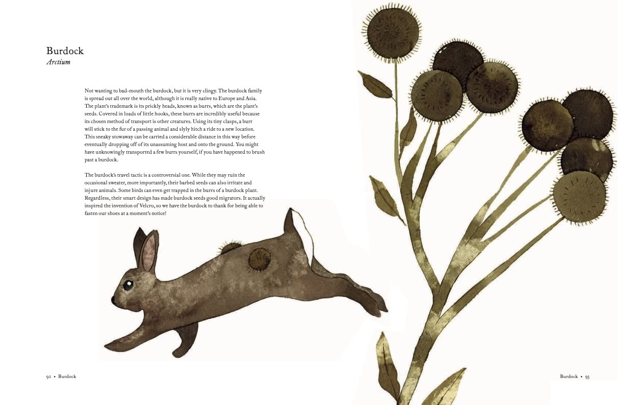 The Atlas of Migrating Plants and Animals by Chronicle Books 8