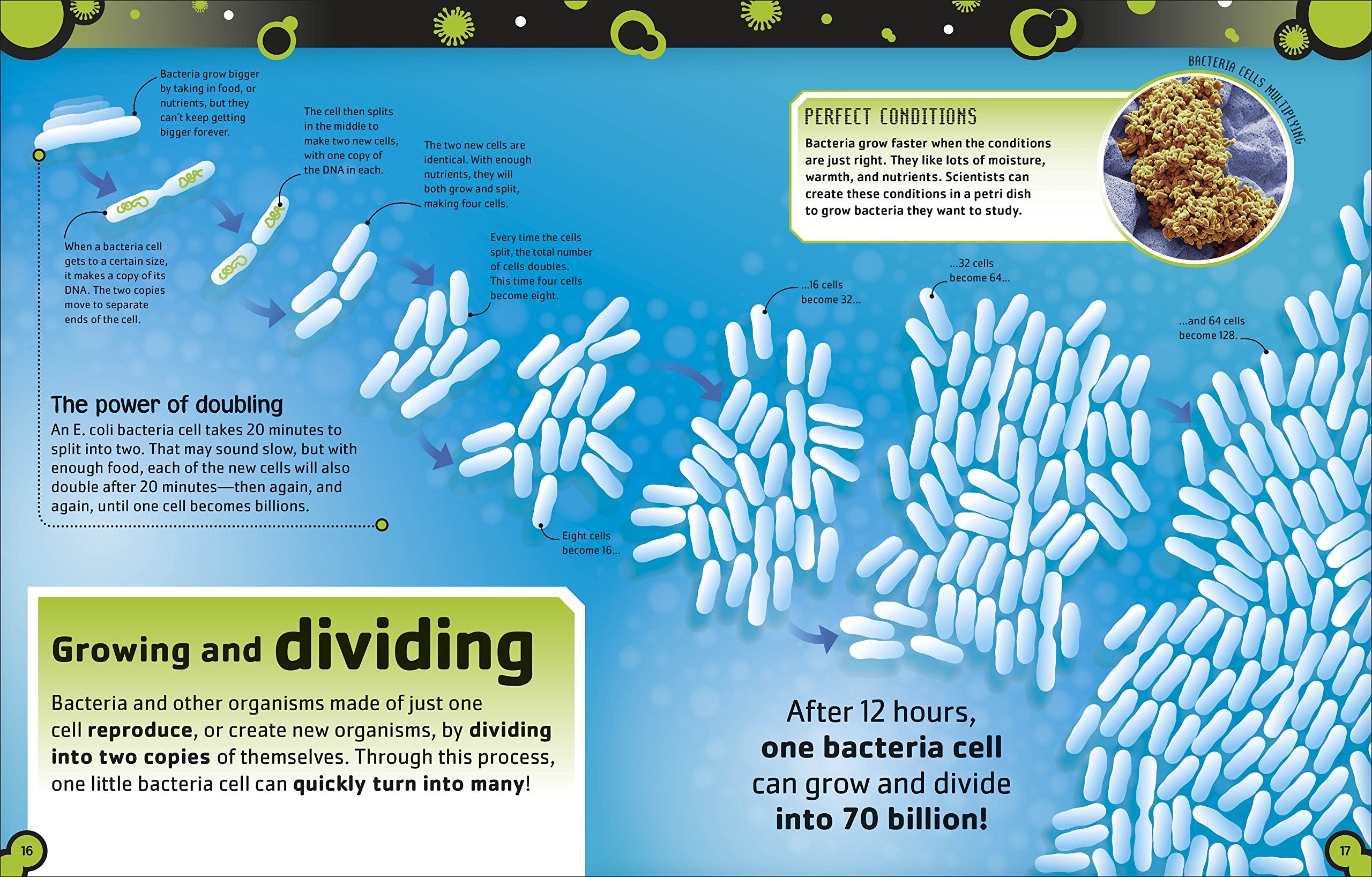 The Bacteria Book The Big World of Really Tiny Microbes by Dorling Kindersley 2