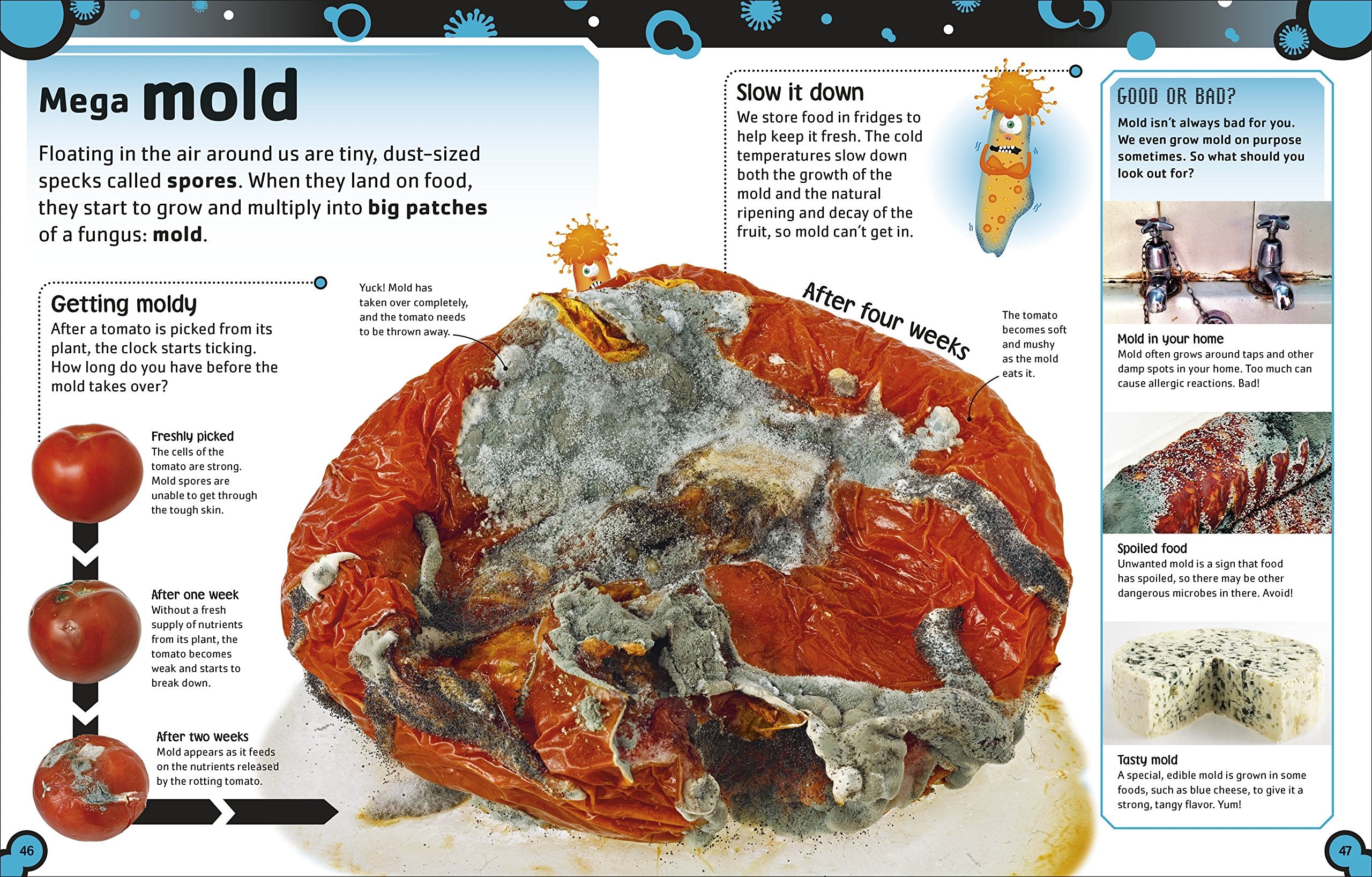 The Bacteria Book The Big World of Really Tiny Microbes by Dorling Kindersley 5