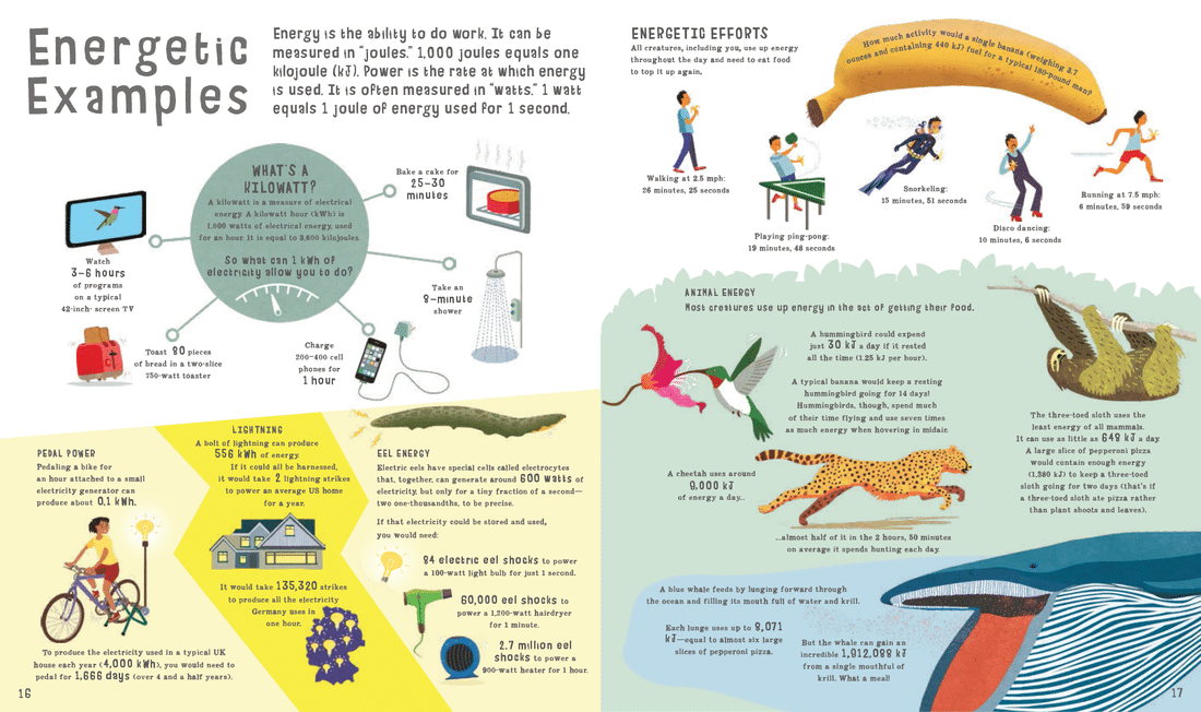 The Book of Comparisons by Usborne 1