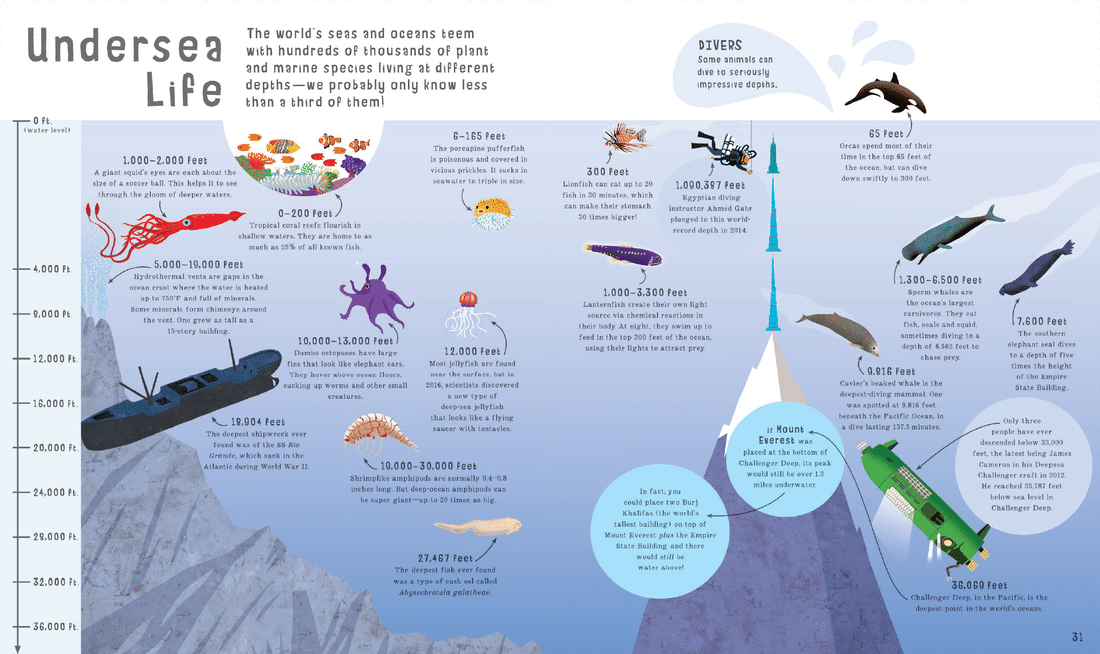 The Book of Comparisons by Usborne 2