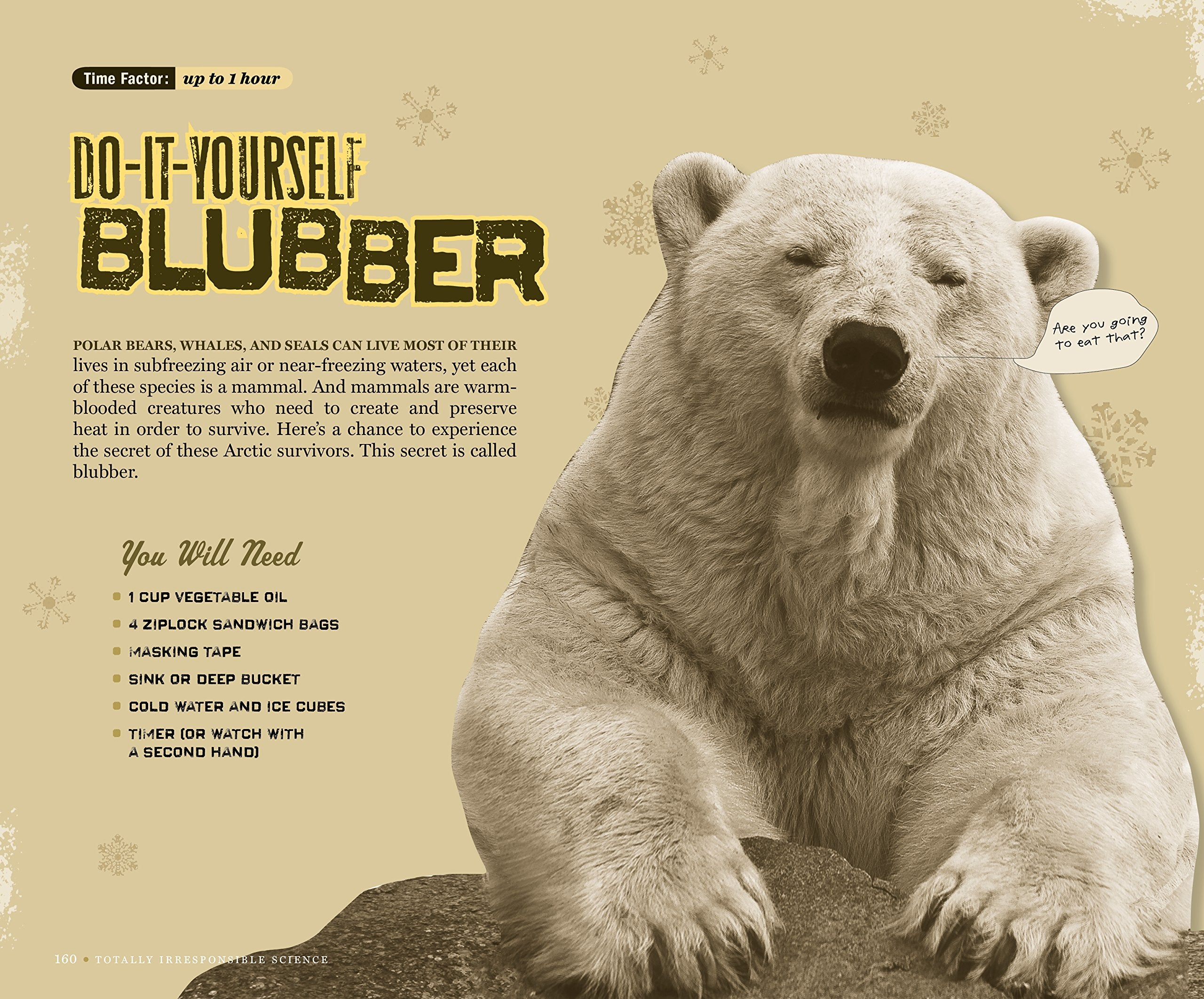 The Book of Totally Irresponsible Science 64 Daring Experiments for Young Scientists by Workman 3