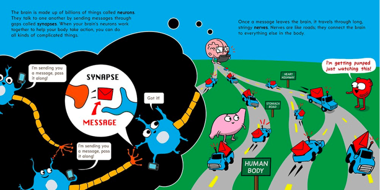 The Brain is Kind of a Big Deal by Scholastic 1