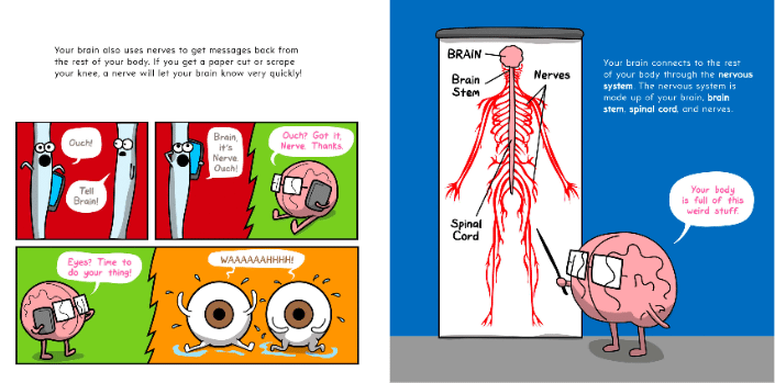 The Brain is Kind of a Big Deal by Scholastic 2