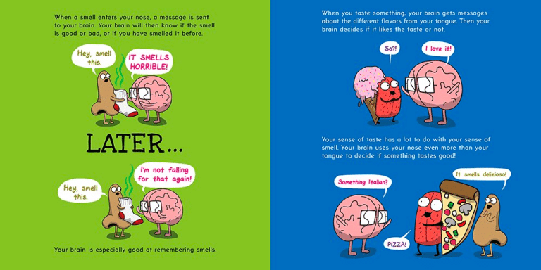 The Brain is Kind of a Big Deal by Scholastic 4