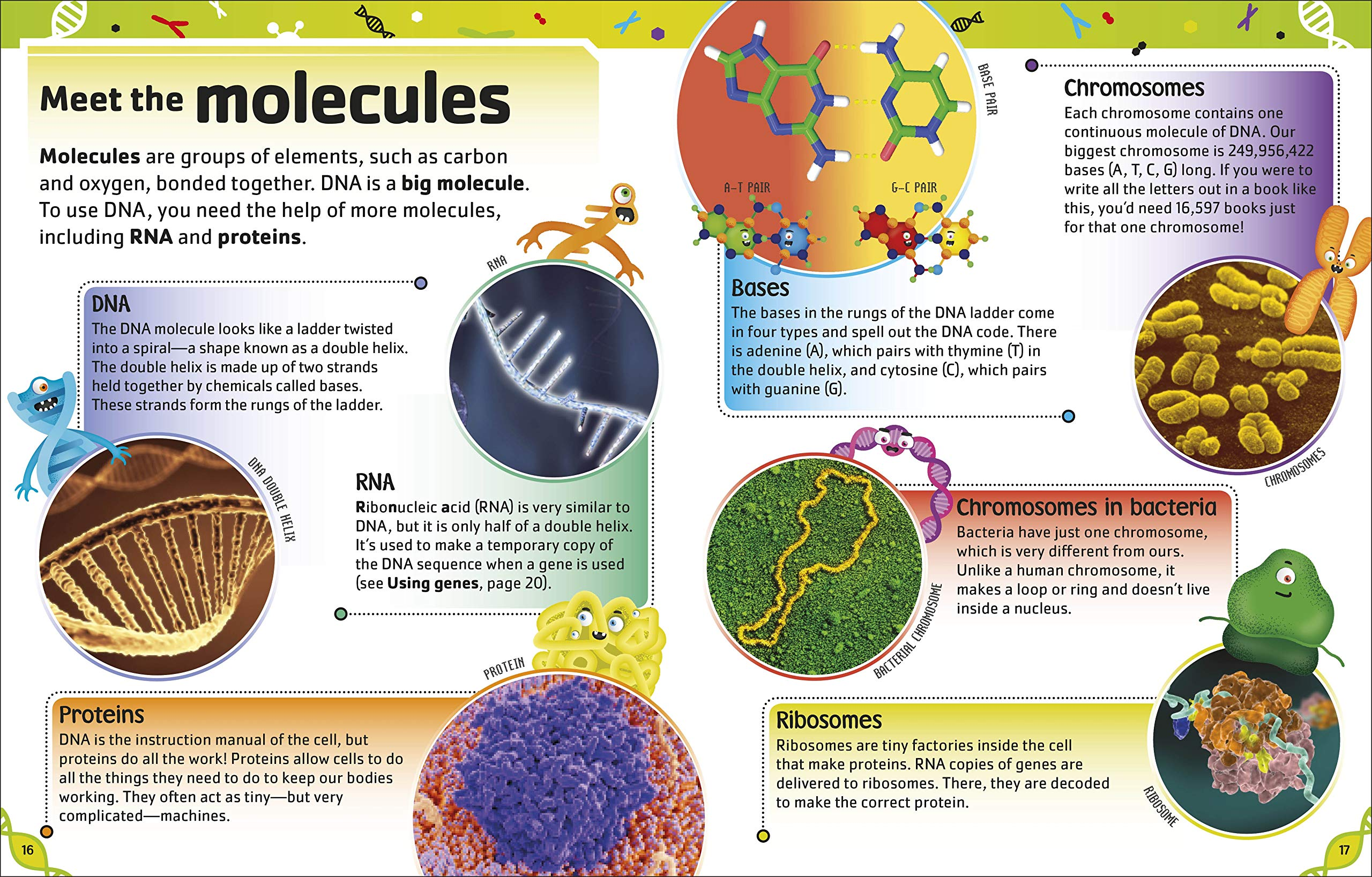 The DNA Book by Dorling Kindersley 2