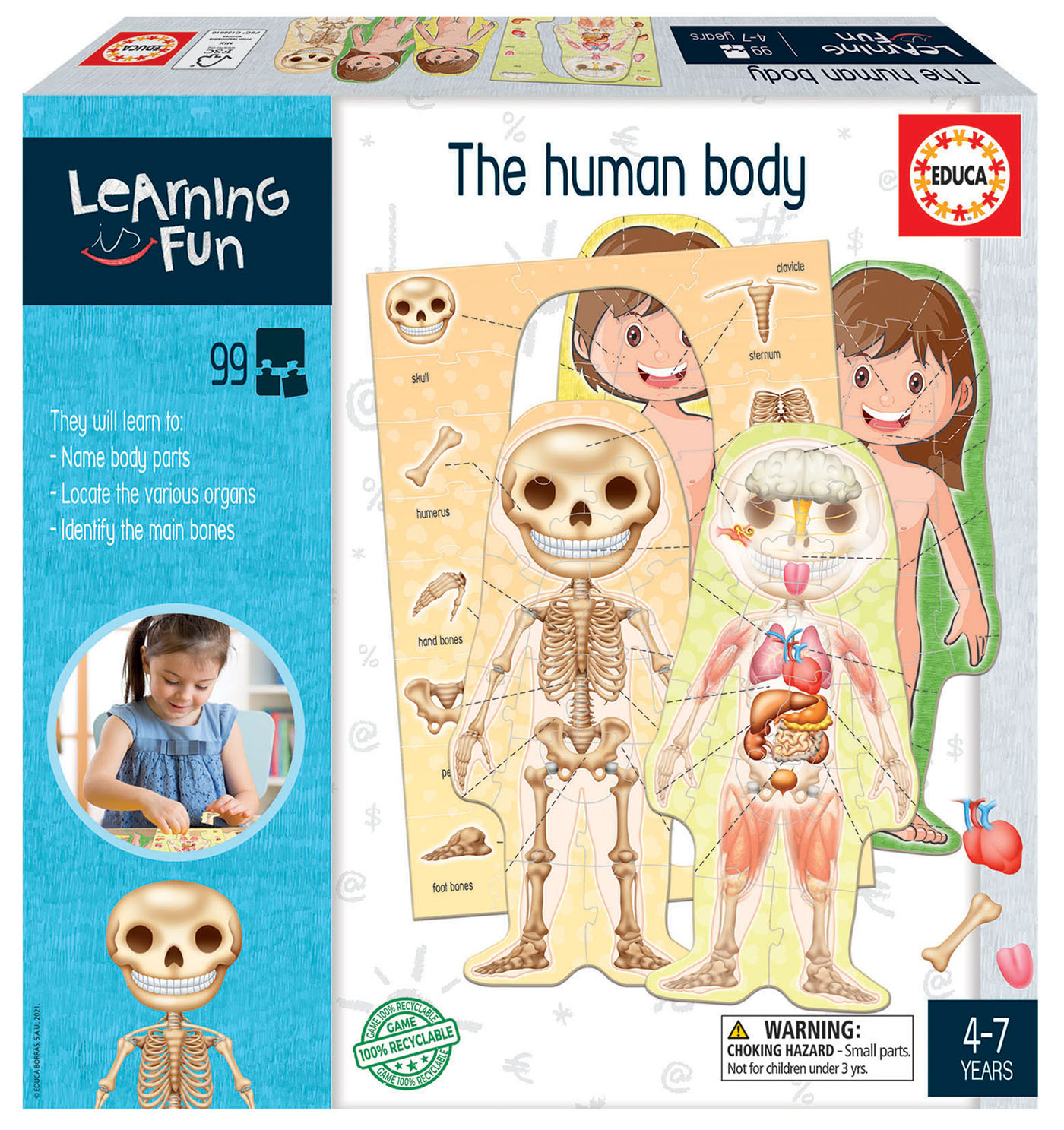 The Human Body Puzzle by Educa