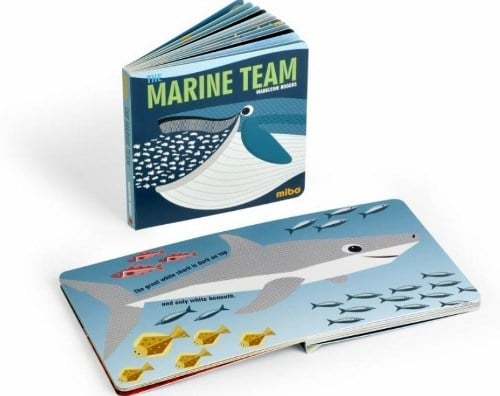 The Marine Team by Button Books 1