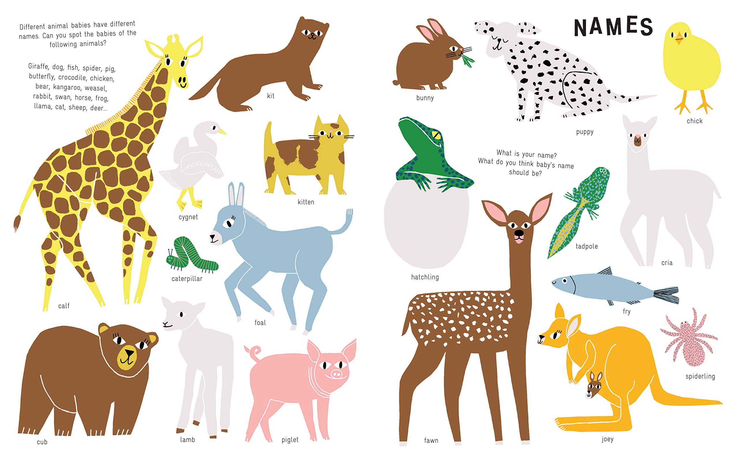 The New Baby Revised Edition An activity book for soon to be big brothers and sisters by Ingram 1