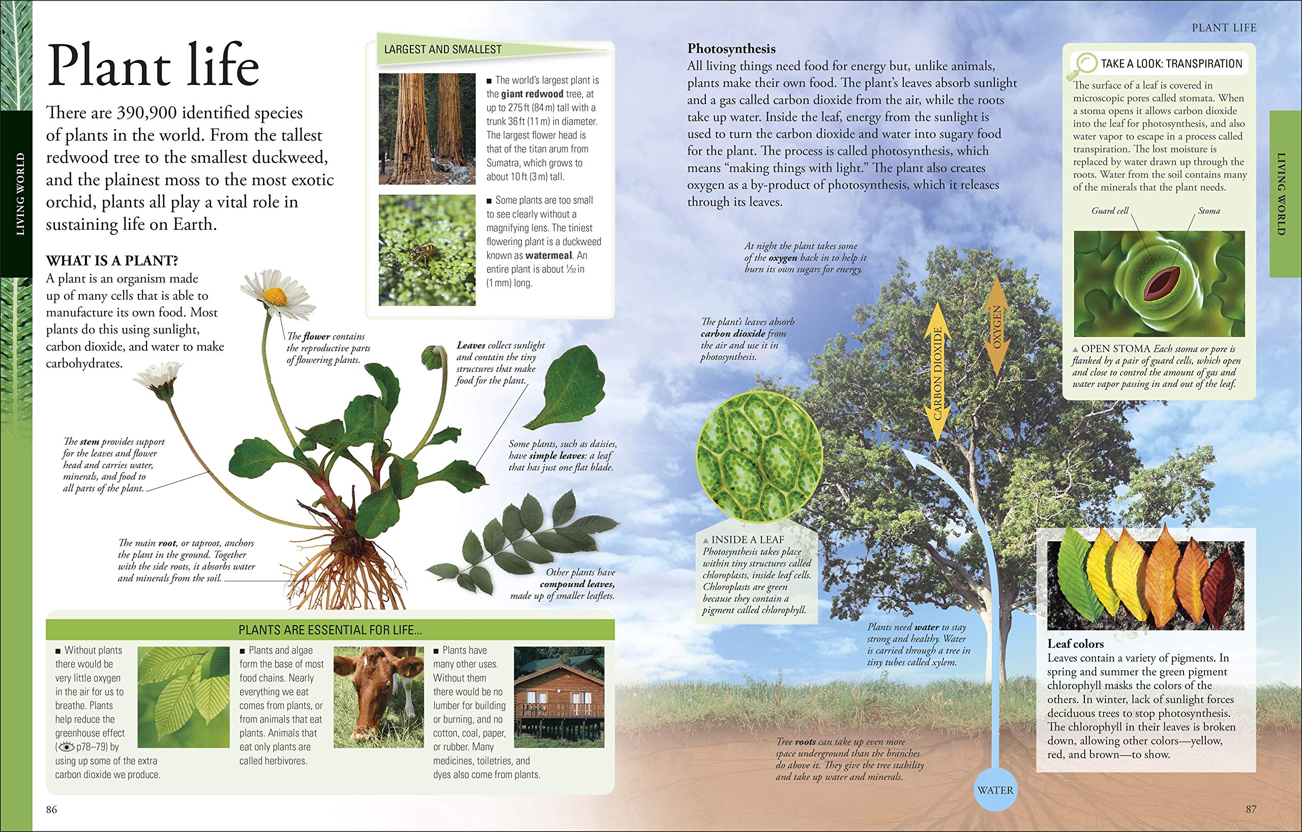 The New Childrens Encyclopedia by Dorling Kindersley 3