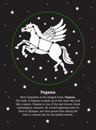 The Night Sky Stories of the Stars Bedtime Shadow Book by Peter Pauper Press 2