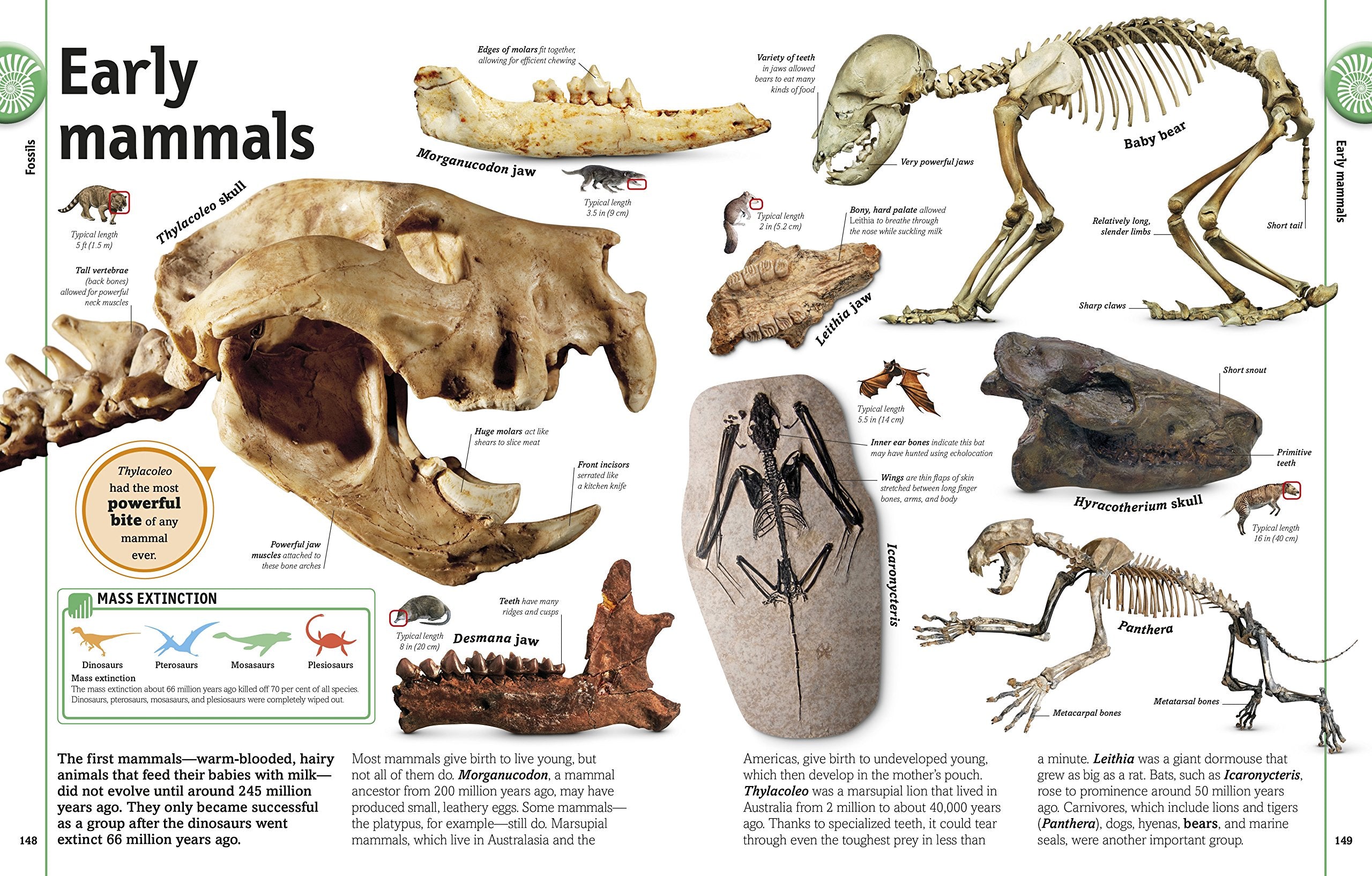 The Rock and Gem Book And Other Treasures of the Natural World by Dorling Kindersley 3