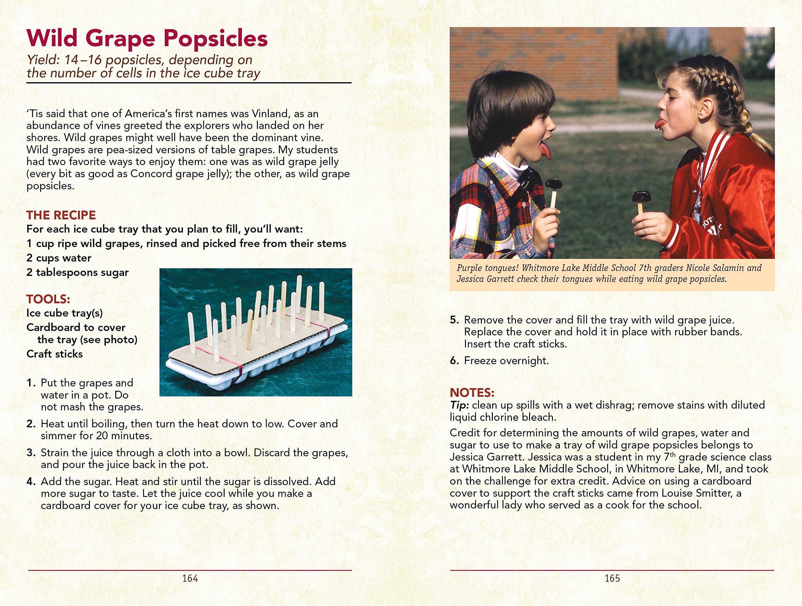 The Scouts Guide to Wild Edibles Learn How To Forage Prepare Eat 40 Wild Foods by St. Lynns Press 1