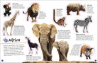 The Ultimate Sticker Book Animals by Dorling Kindersley 1