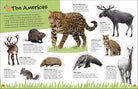 The Ultimate Sticker Book Animals by Dorling Kindersley 3