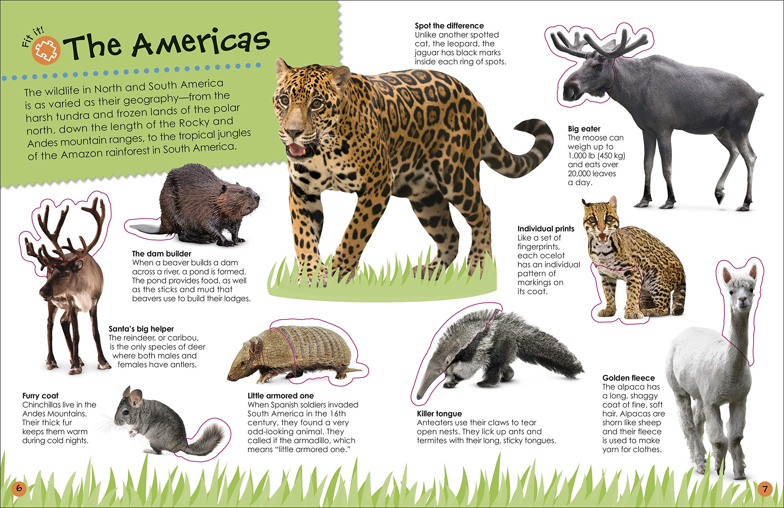 The Ultimate Sticker Book Animals by Dorling Kindersley 3