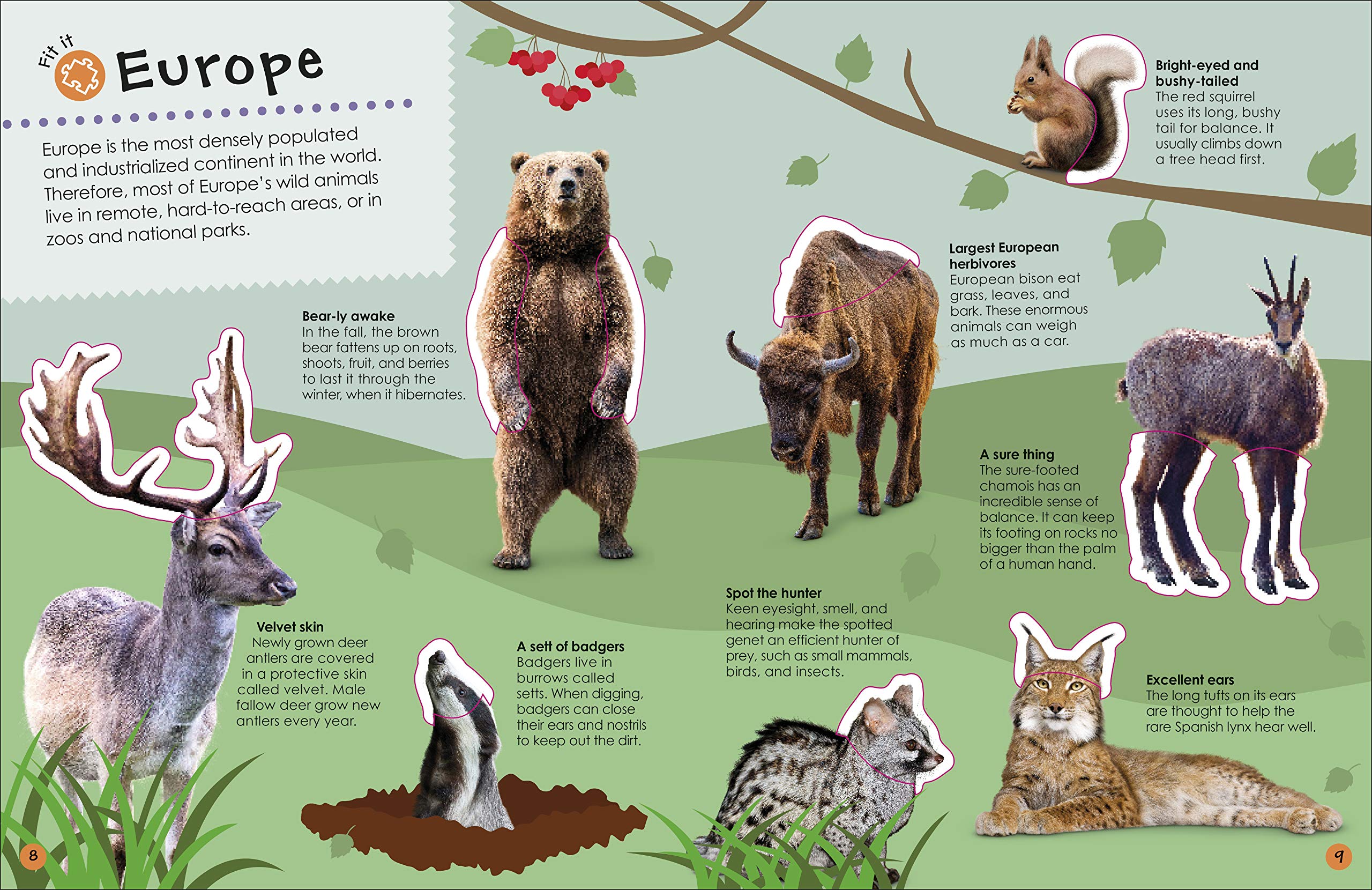 The Ultimate Sticker Book Animals by Dorling Kindersley 4