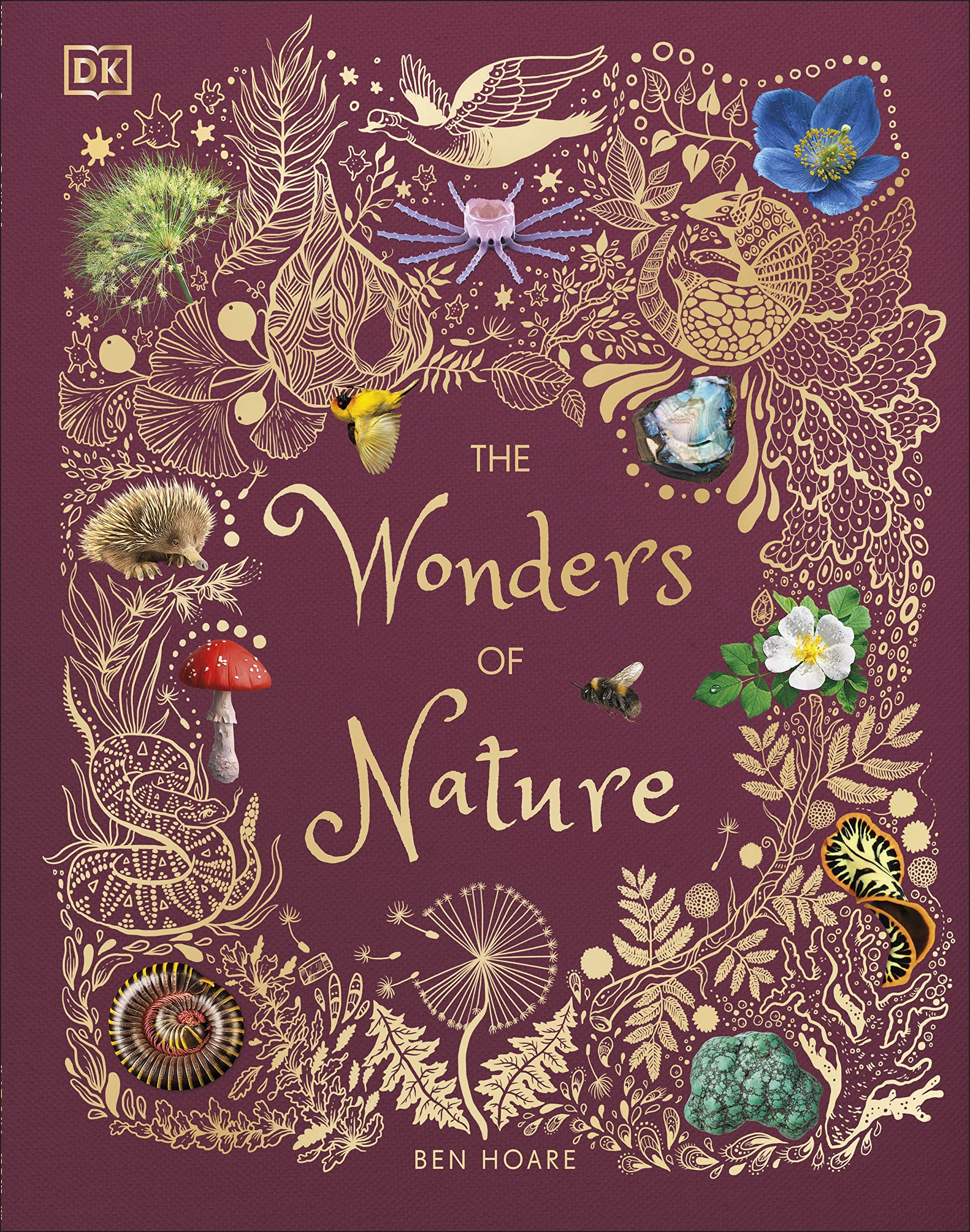 The Wonders of Nature (DK Children's Anthologies)-by-Dorling Kindersley