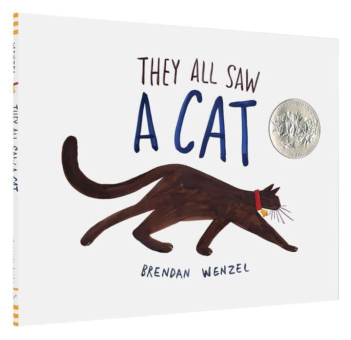 They All Saw a Cat – A2Z Science & Toys
