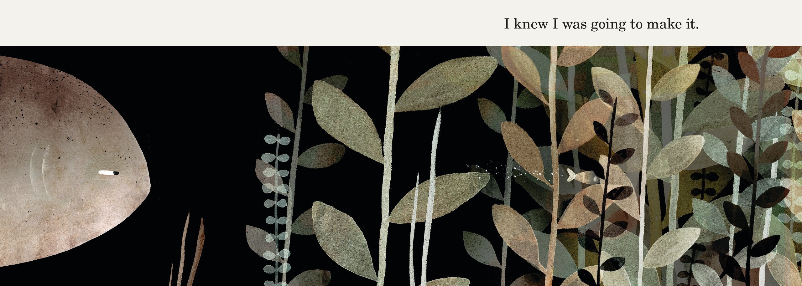 This Is Not My Hat by Penguin Random House 2