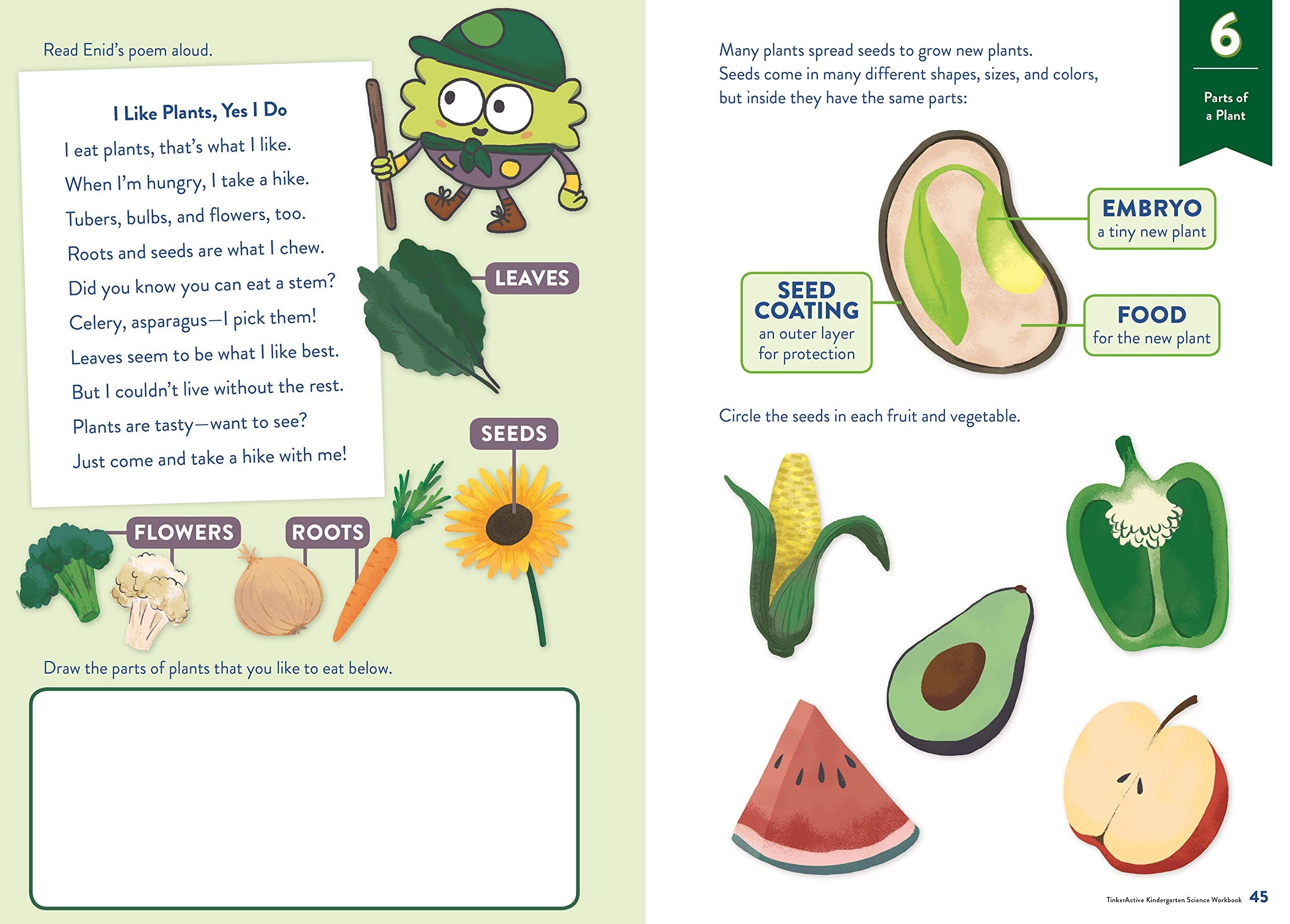 TinkerActive Workbooks Kindergarten Science by TinkerActive 1