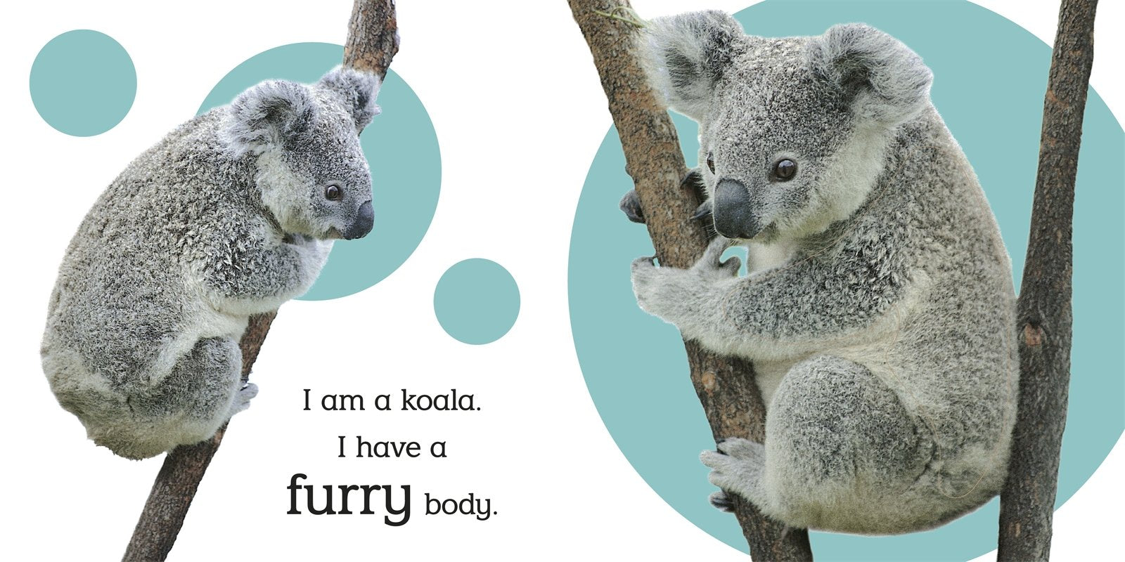 Touch and Feel Wild Animals by DK Publishing 1