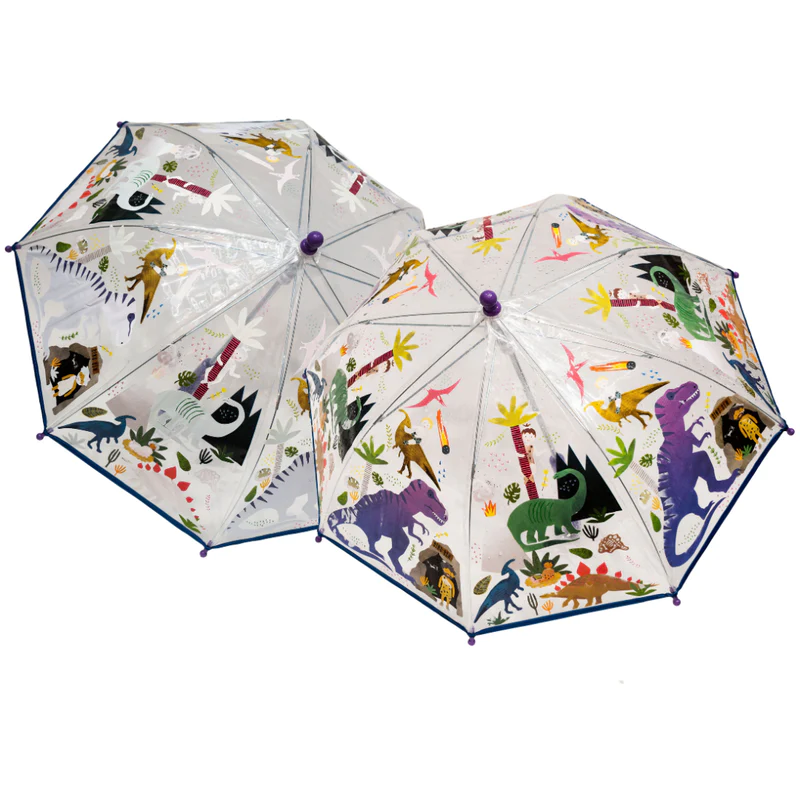 Transparent Color Changing Umbrella - Dinosaur-by-Floss & Rock