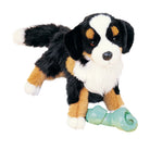 Trevor Bernese Mountain Dog 16 by Douglas