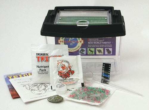 Triassic Triops by Toyops 1