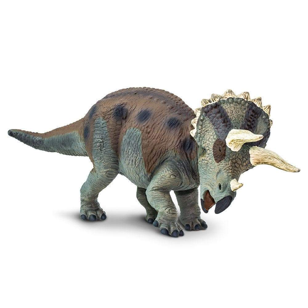 Triceratops Figure by Safari 1