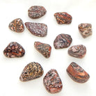 Tumbled Leopardskin Jasper by A2Z Science
