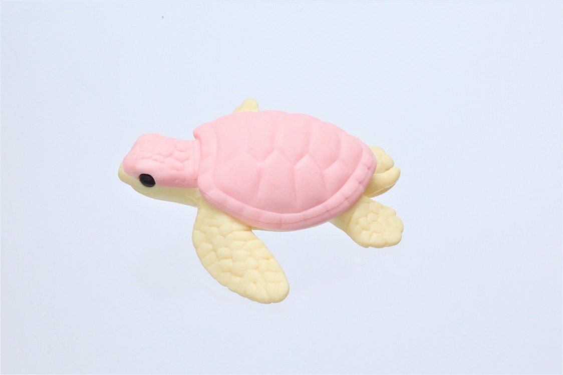 Turtle Eraser by Iwako 2