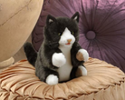 Tuxedo Kitten Puppet by Folkmanis 2