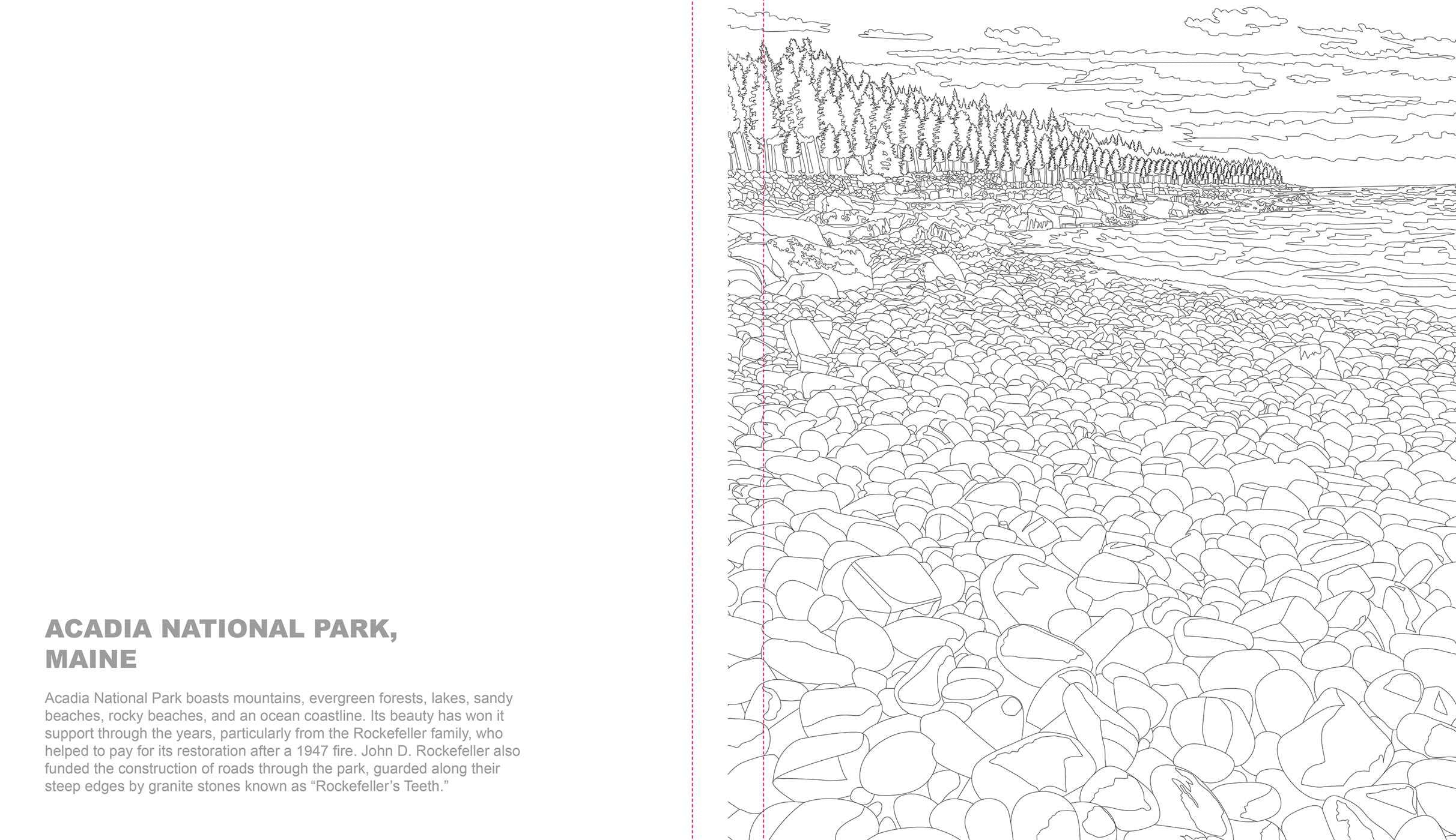 Ultimate Coloring National Parks A Colorful Adventure Into the Great Outdoors by Thunder Bay Press 1