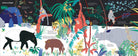 Ultimate Spotlight Rain Forest Animals by Chronicle Books 2