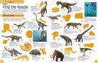 Ultimate Sticker Activity Collection Dinosaurs and Other Prehistoric Life by Dorling Kindersley 2