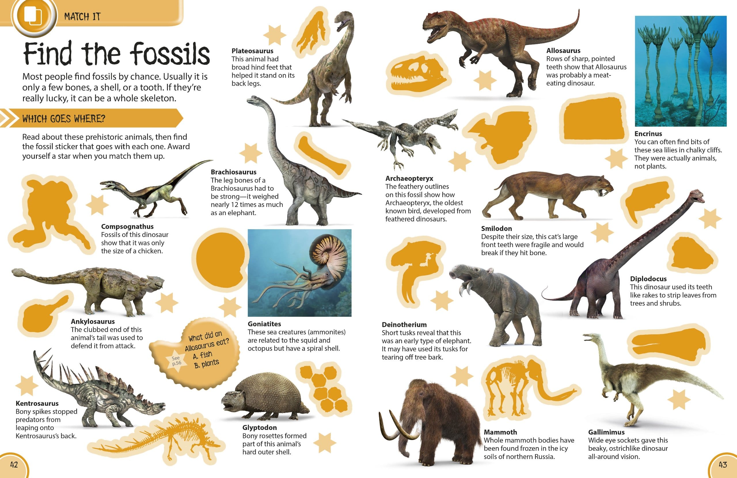Ultimate Sticker Activity Collection Dinosaurs and Other Prehistoric Life by Dorling Kindersley 2