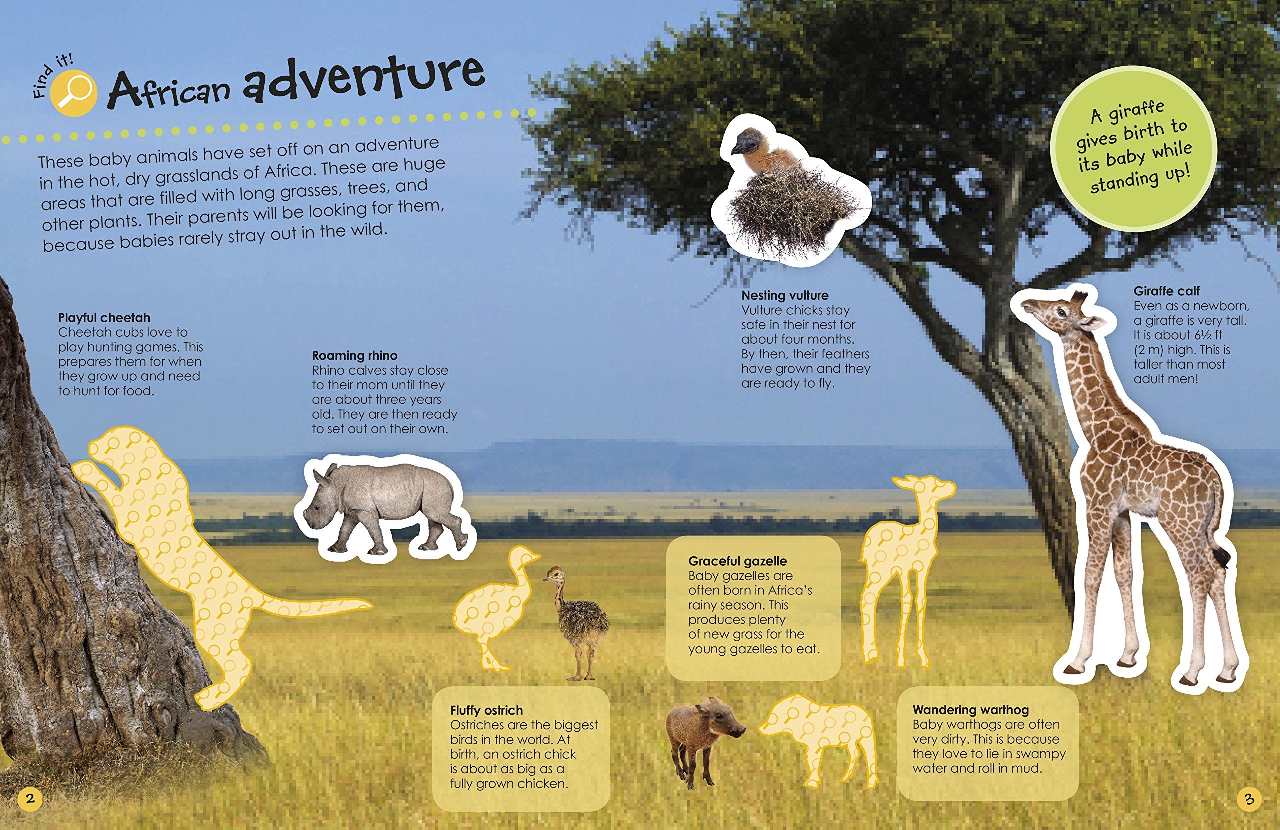 Ultimate Sticker Book Baby Animals by Dorling Kindersley 1