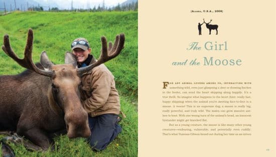Unlikely Loves 43 Heartwarming True Stories from the Animal Kingdom by Workman 2