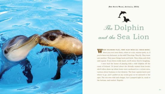 Unlikely Loves 43 Heartwarming True Stories from the Animal Kingdom by Workman 3