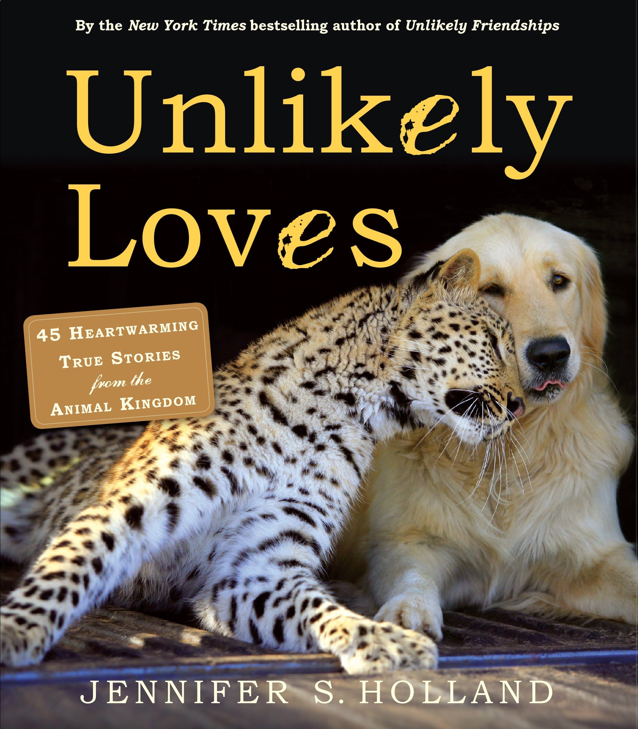 Unlikely Loves 43 Heartwarming True Stories from the Animal Kingdom by Workman