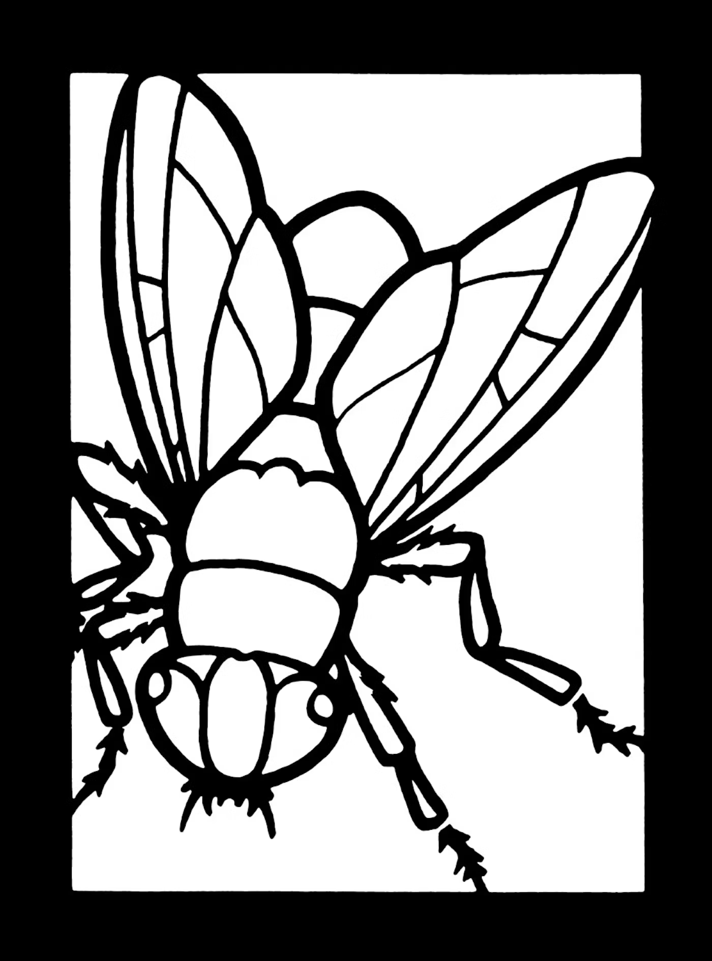 Insects Stained Glass Coloring Book by Dover Publications