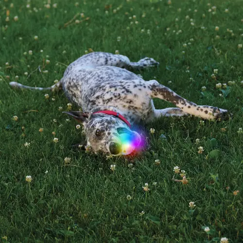 Glowstreak Recharable LED Ball by Niteize