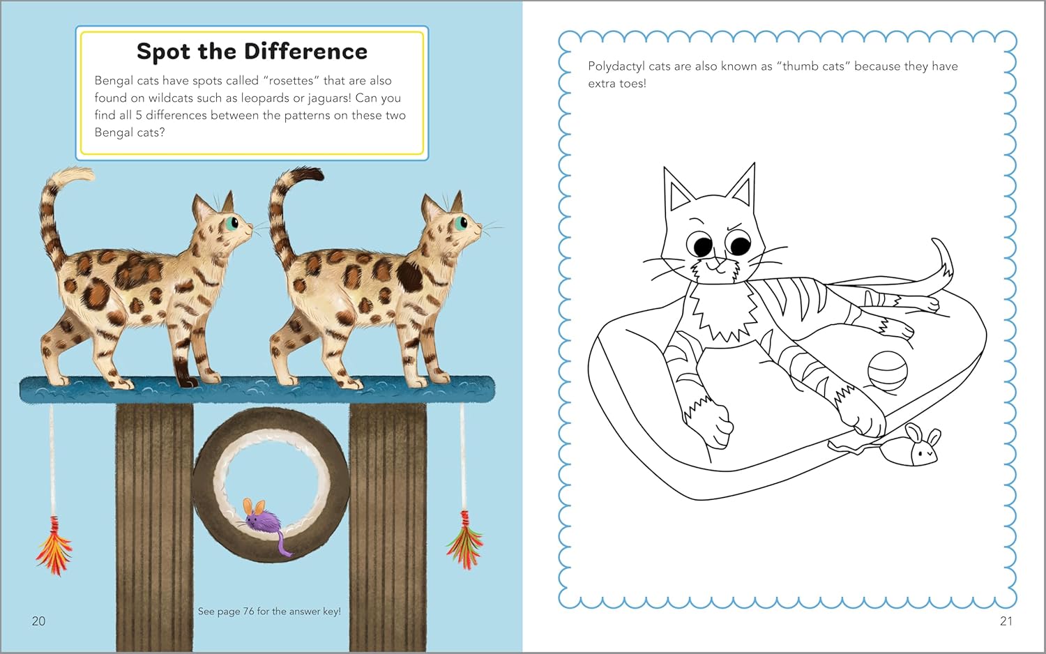 Cute Cats Activity Book for Kids by Sourcebooks