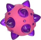 Wacky Flash Ball by Toysmith 1