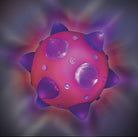 Wacky Flash Ball by Toysmith 3