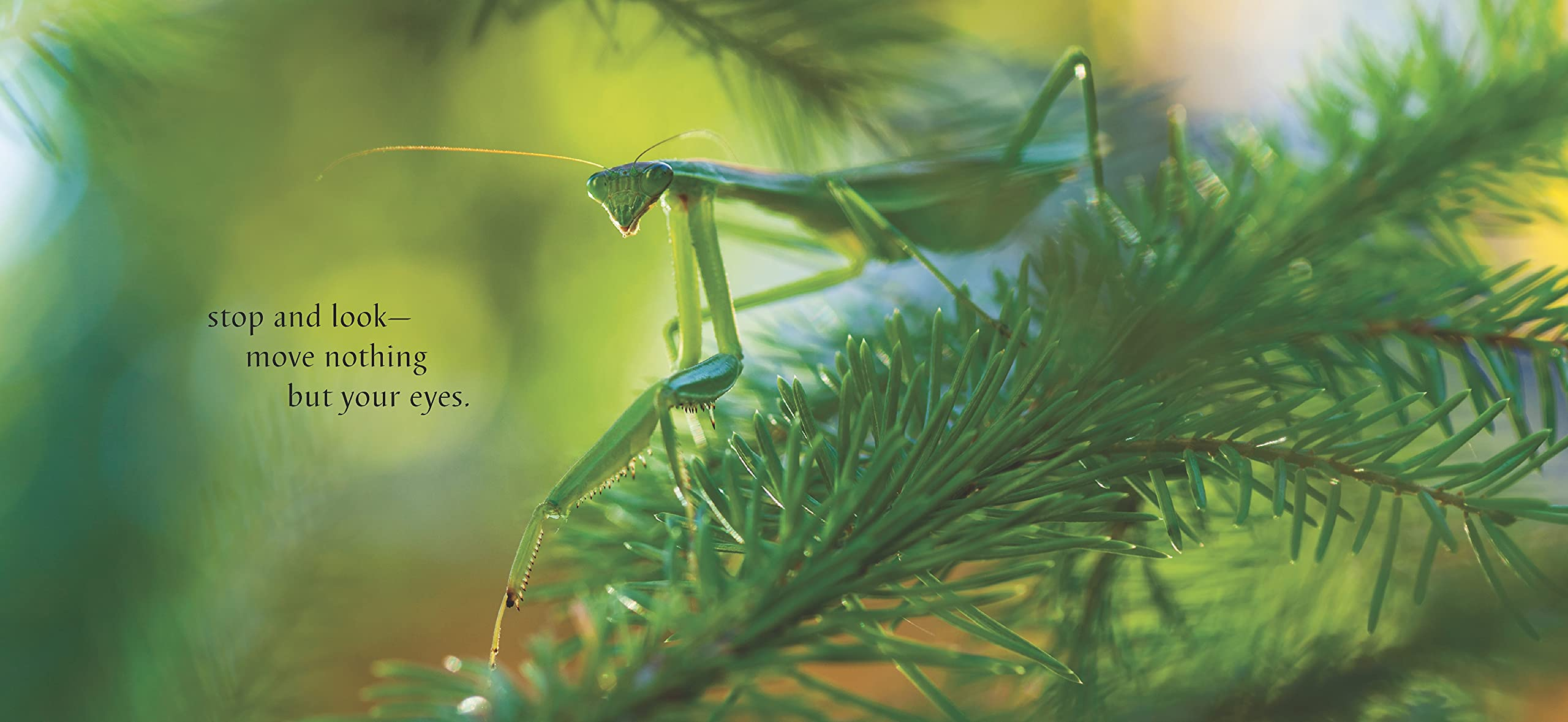 Wait and See by Random House 2