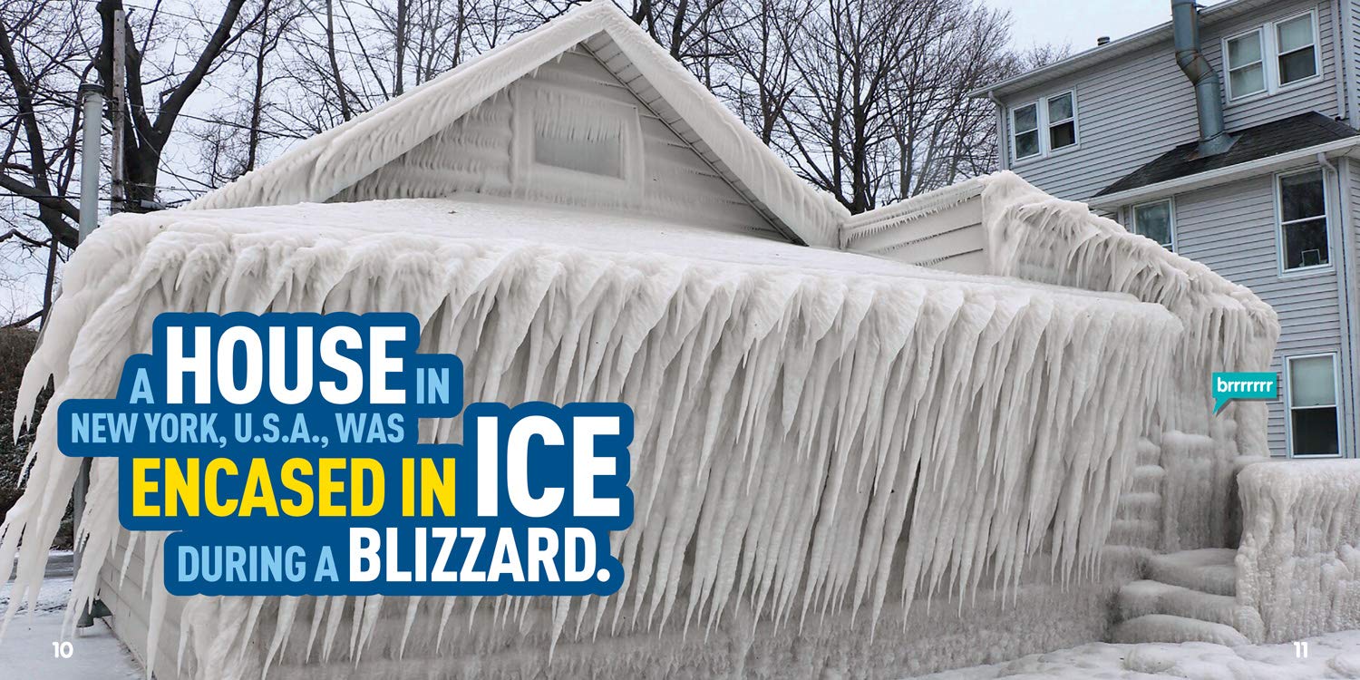 Weird But True 10 by Penguin Random House 1