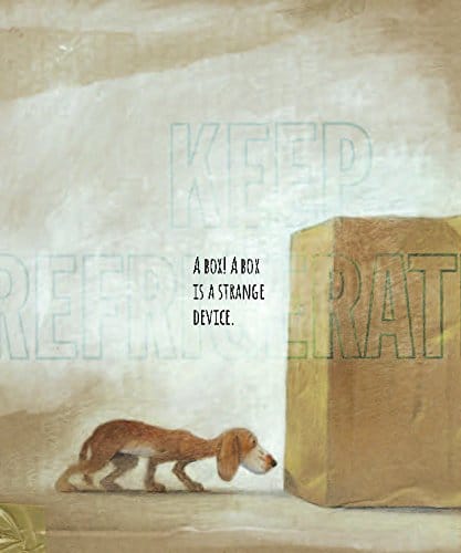 What To Do With a Box by Chronicle Books 1