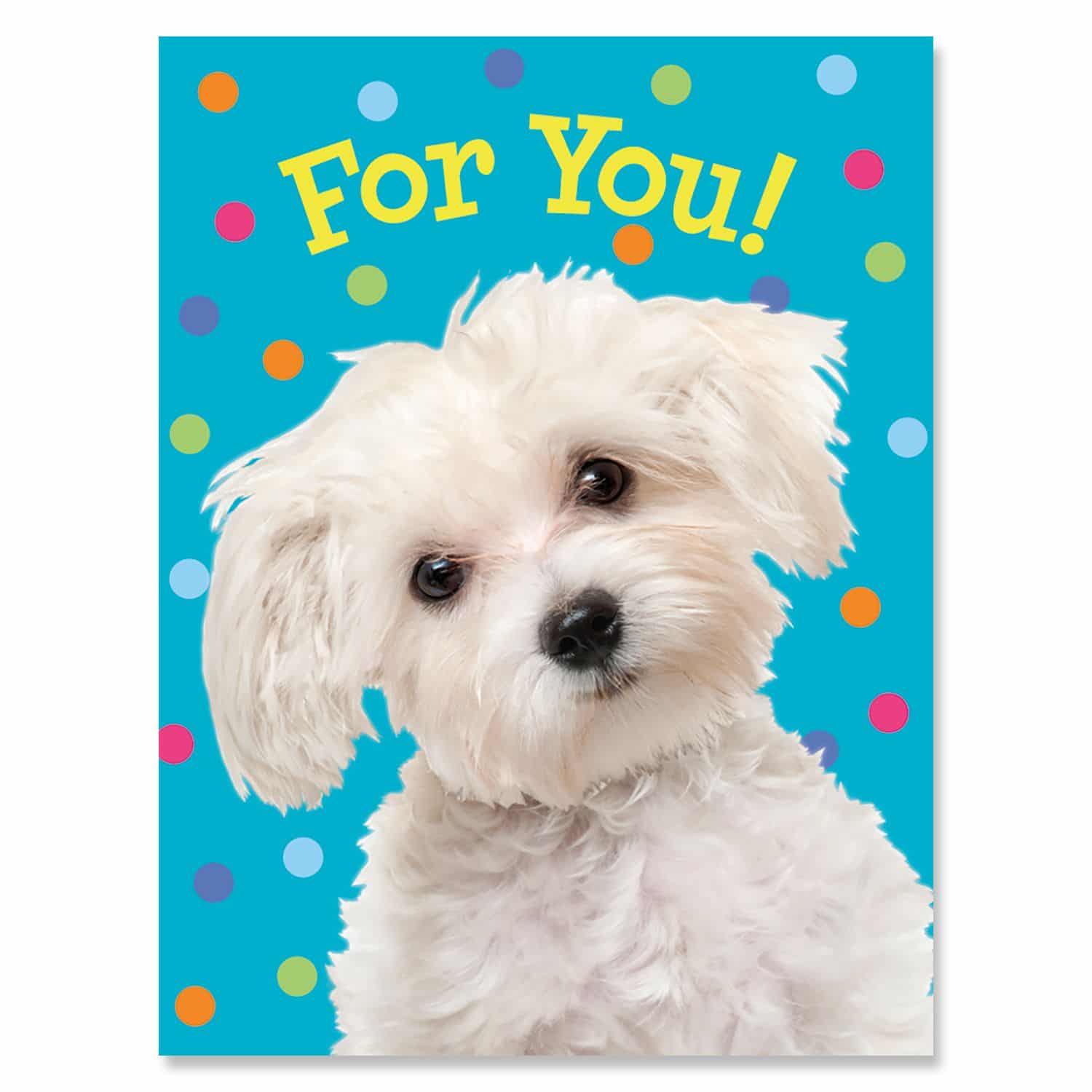 White Dog For You Enclosure Card by Peaceable Kingdom